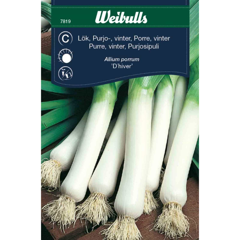 Weibulls vinterporre 'D'hiver'