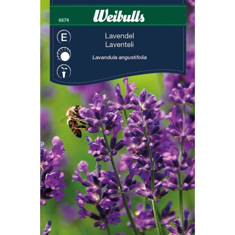 Blomsterfrø (Lavendel lavandula angustifolia)*