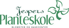 Jespers Planteskole, planter, stauder