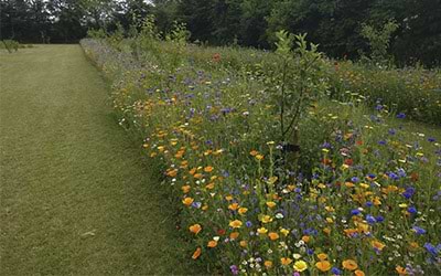 Gartnerens blomstereng