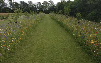 Gartnerens blomstereng