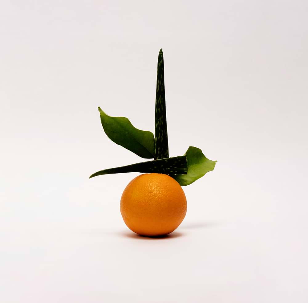 Gel hydratant Aloe vera & fleur d'oranger bio — Typology