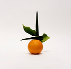 Huile essentielle d'orange douce 