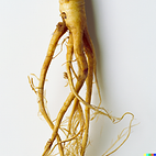 Fiche d'identité : Extrait végétal de ginseng rouge.