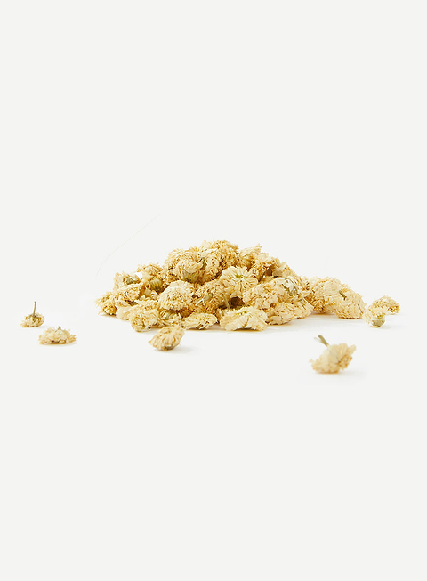 Bienfaits camomille pour la peau