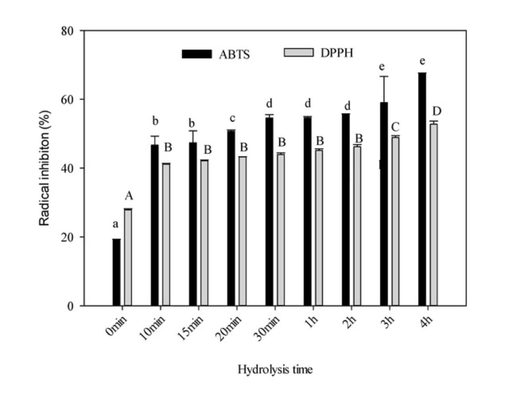 Capacité antioxydante des peptides de collagène selon le temps d'hydrolyse (plus le temps d'hydrolyse augmente, plus les peptides sont courts).