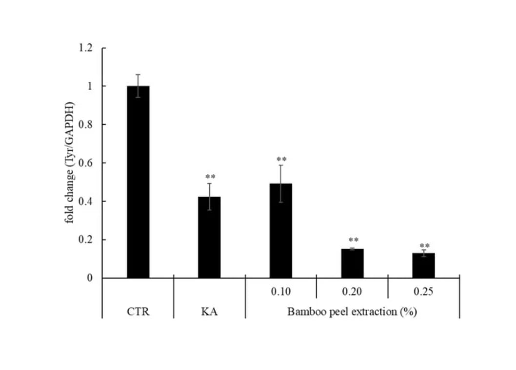 Quantités relatives de l’expression du gène de la tyrosinase (CTR = contrôle négatif ; KA = acide kojique).