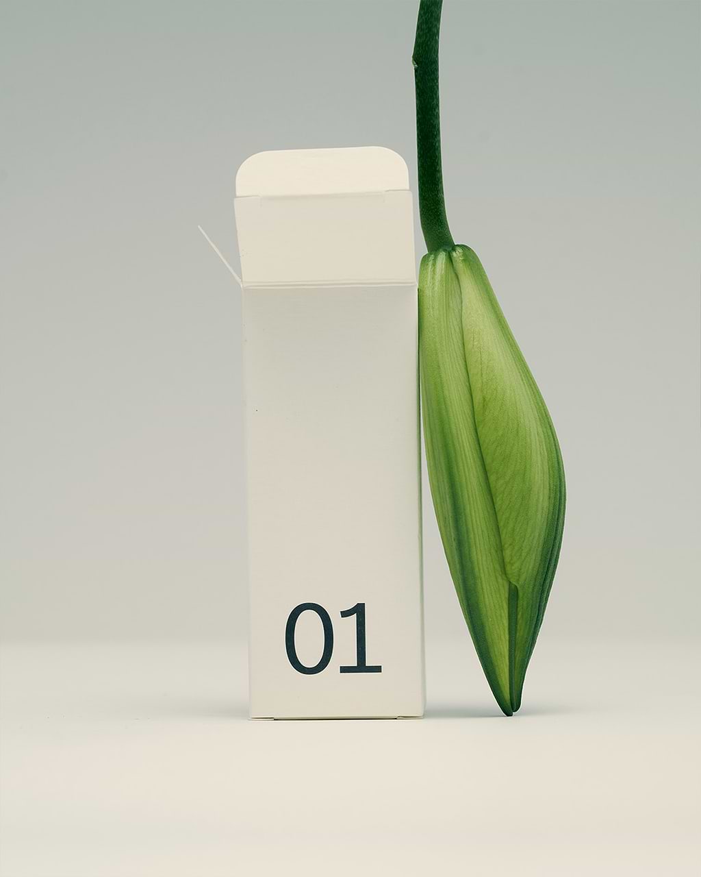 Typology Adventskalender  Typology