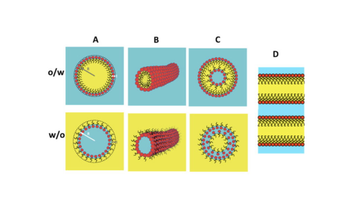 Représentation schématique de structures de tensioactifs auto-assemblées dans des émulsions. Rangée supérieure huile-dans-eau, rangée inférieure eau-dans-huile. (A) Micelles sphériques ; (B) micelles cylindriques ; (C) vésicules ; (D) interfaces planes bicontinues.