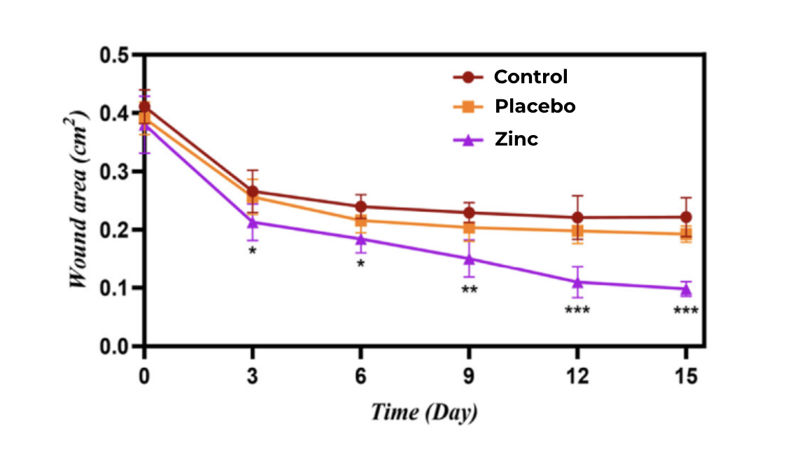Effet d'un gel de sulfate de zinc sur la cicatrisation cutanée dans un modèle murin.