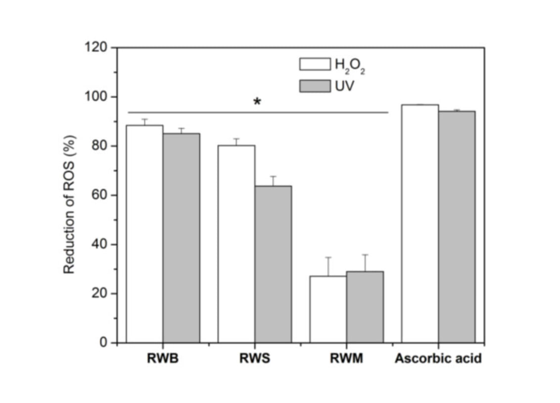 Réduction des espèces réactives de l’oxygène après exposition au rayonnement H2O2 et UVB des kératinocytes cultivés avec de l’eau de riz ou de l’acide ascorbique. (RWB) : eau de riz préparée par ébullition ; (RWM) : eau de riz préparée avec des grains entiers ; (RWS) : eau de riz préparée avec des grains broyés.