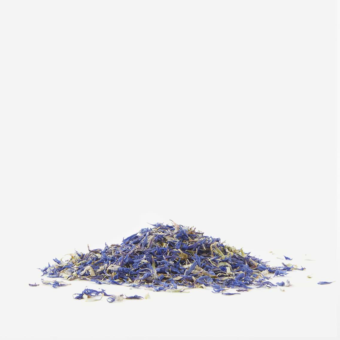 Procédé d'obtention de l'hydrolat de bleuet.