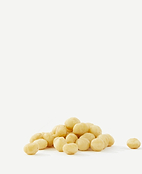 Fiche d'identité : Huile végétale de macadamia.