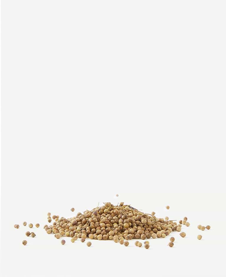 Coriandrum Sativum Seed Oil.