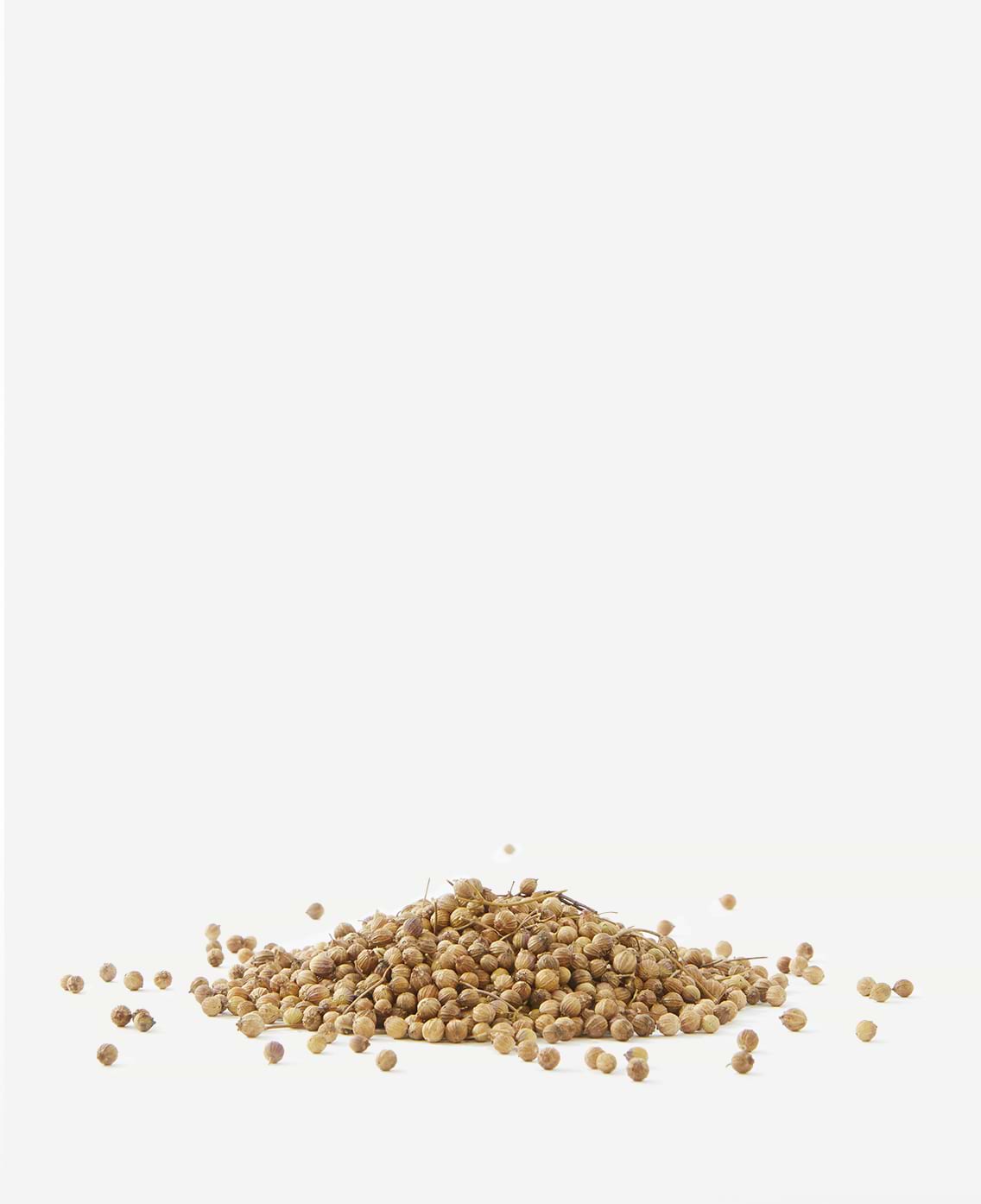 Coriandrum Sativum Seed Oil.