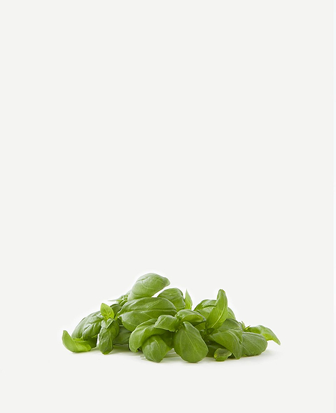 Bienfaits du basilic pour la peau