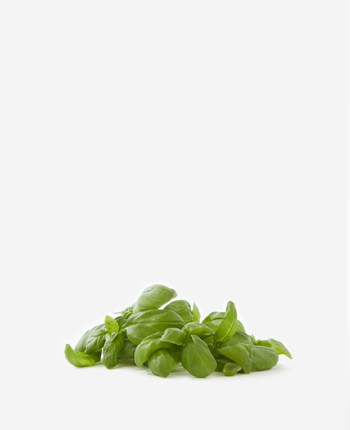 Bienfaits du basilic pour la peau