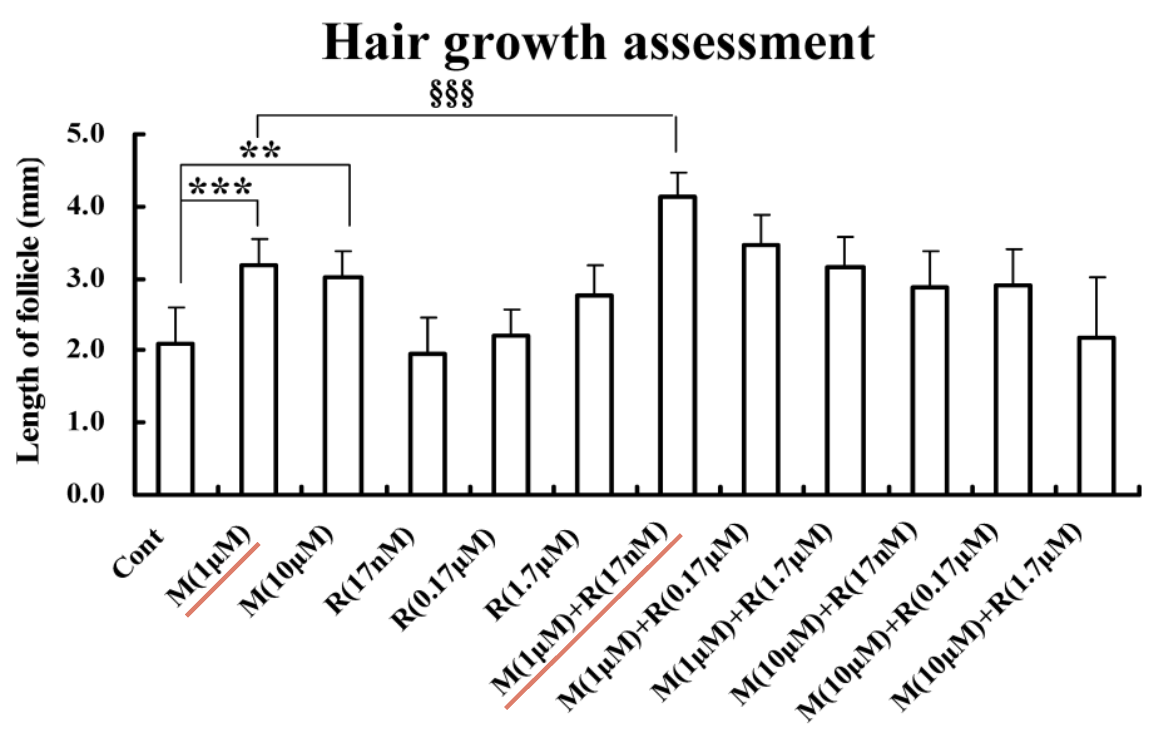 Effet du minoxidil seul ou en association avec du rétinol sur la croissance de cheveux (culture de follicules pileux in vitro).