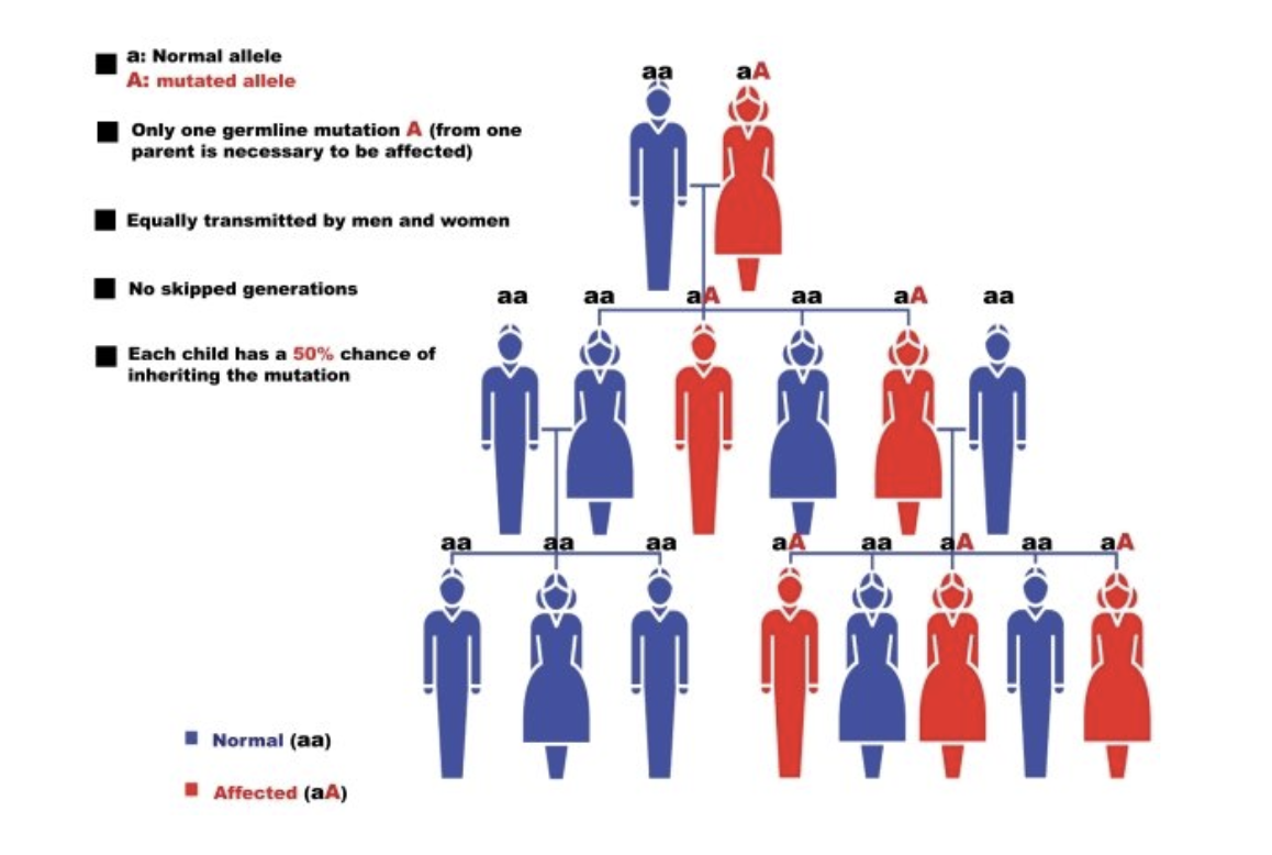 Illustration du mode de transmission autosomique dominant de la kératose pilaire.