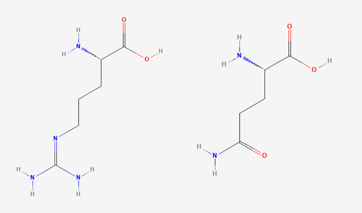Structures chimiques de la L-arginine (gauche) et de la L-glutamine (droite).
