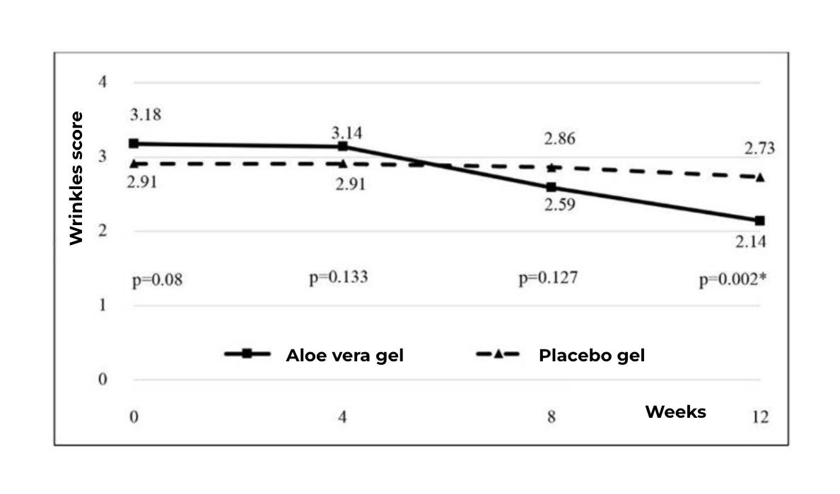 Évolution du score de rides au fil des applications du gel d'aloe vera à 90% comparé à un placebo.