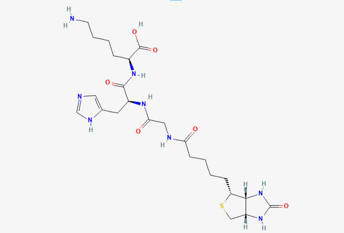 Structure chimique du biotinoyl tripeptide-1.
