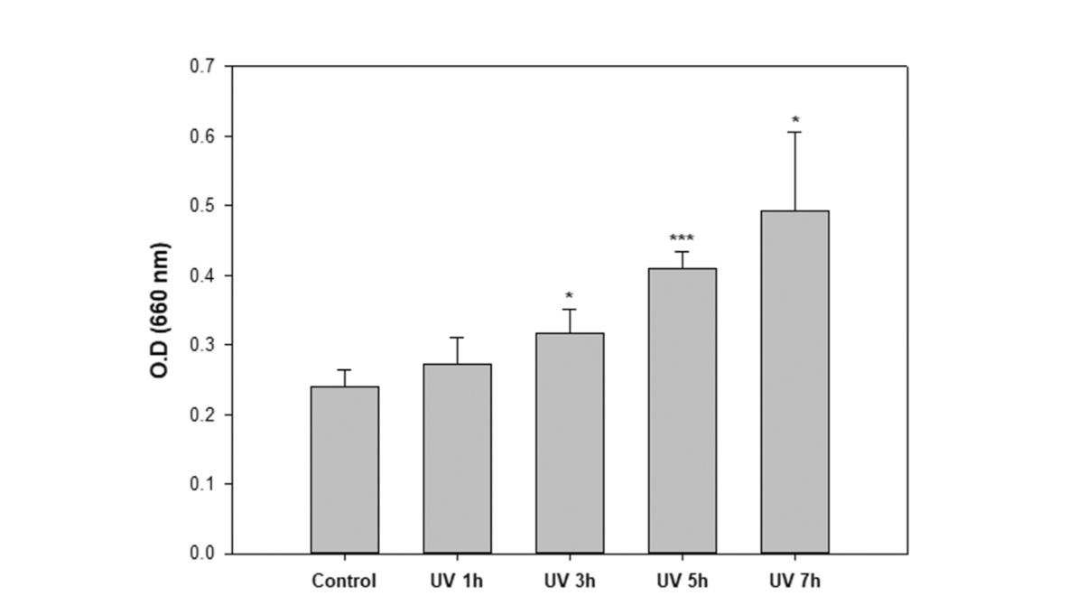 Effets des rayons UV sur la porosité des cheveux.