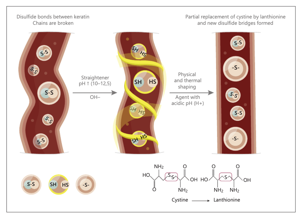 Mécanisme d'action des hydroxydes sur la structure de la fibre capillaire.