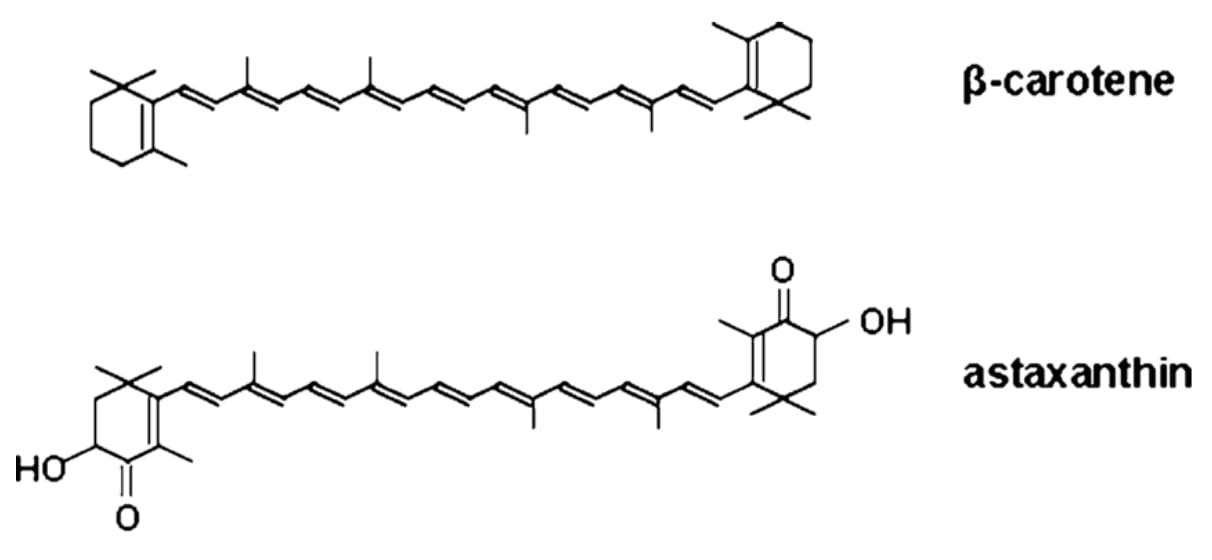 Structures chimiques de l'astaxanthine et du bêta-carotène.