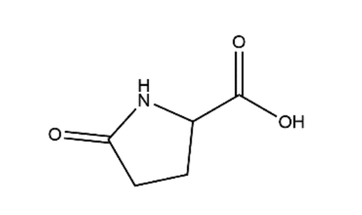 Structure chimique de l’acide pyrrolidone-carboxylique (PCA).