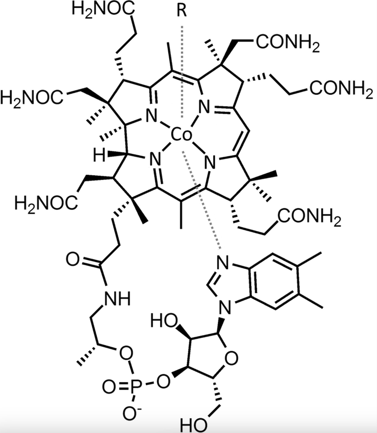 La structure de la vitamine B12