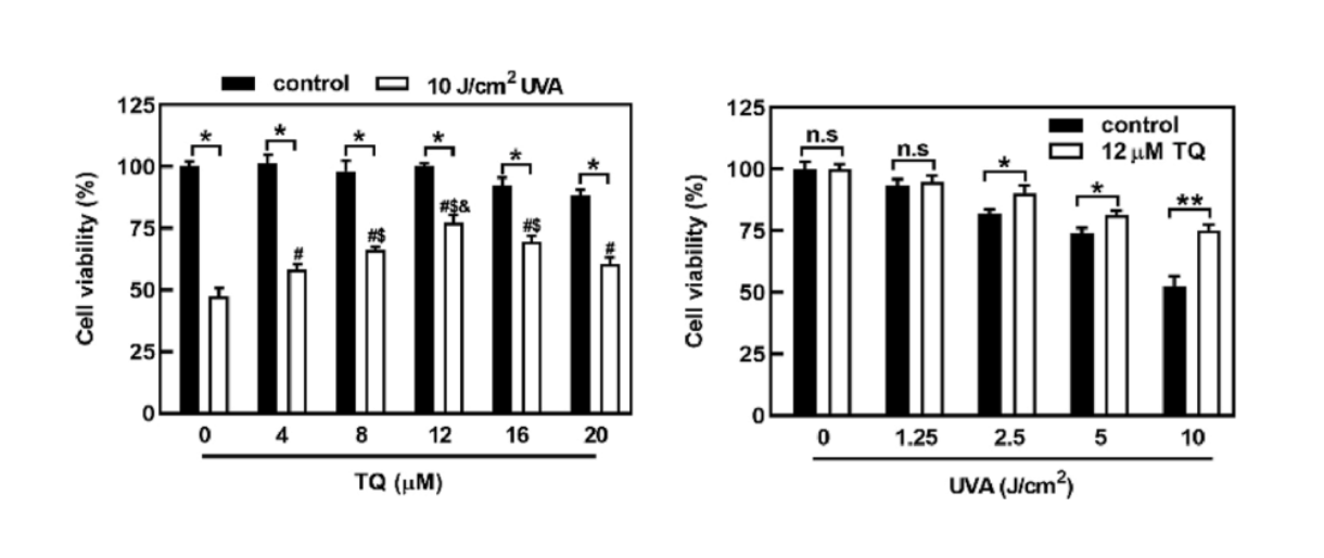 Effets de la thymoquinone sur la viabilité cellulaire de kératinocytes humains irradiés par UVA.