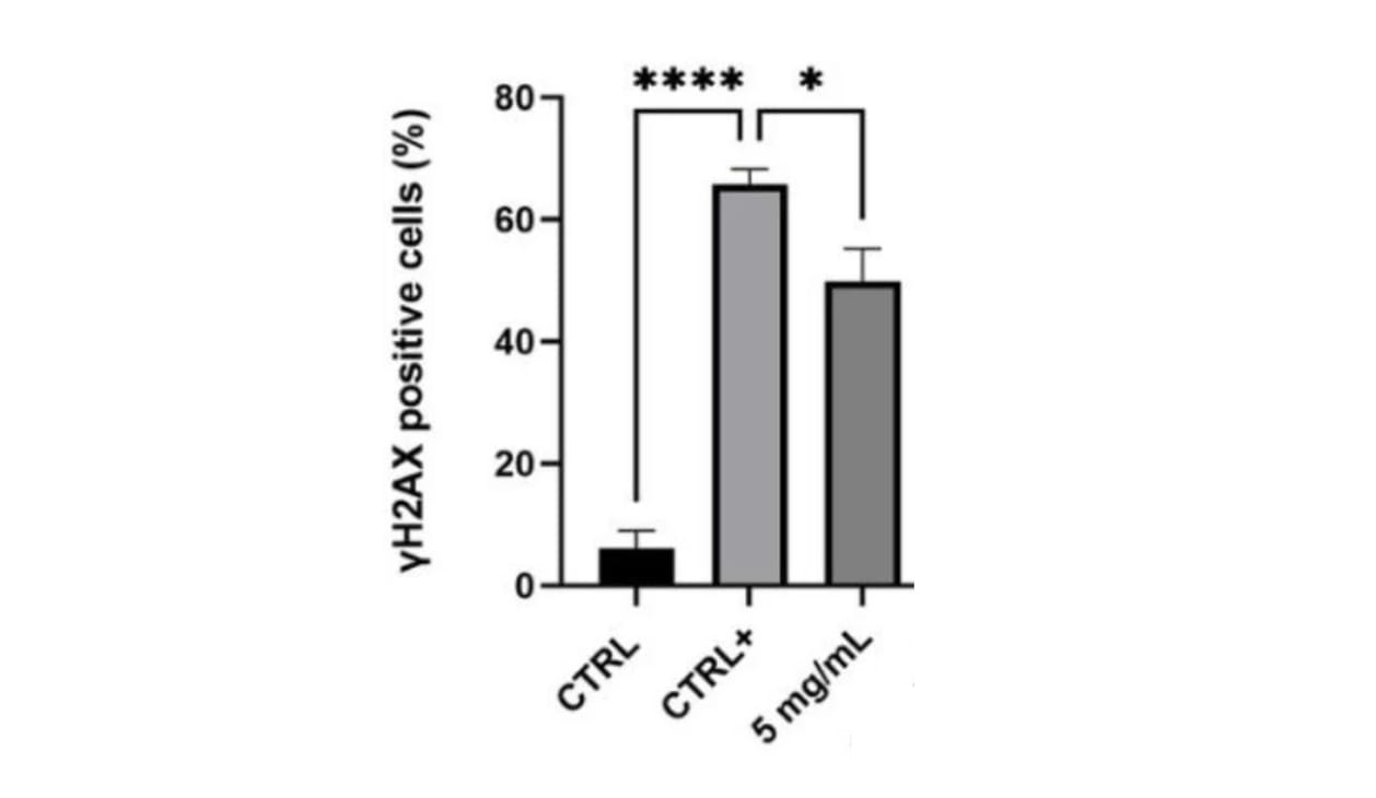 Effet photoprotecteur du 3-O-Ethyl Ascorbic Acid.
