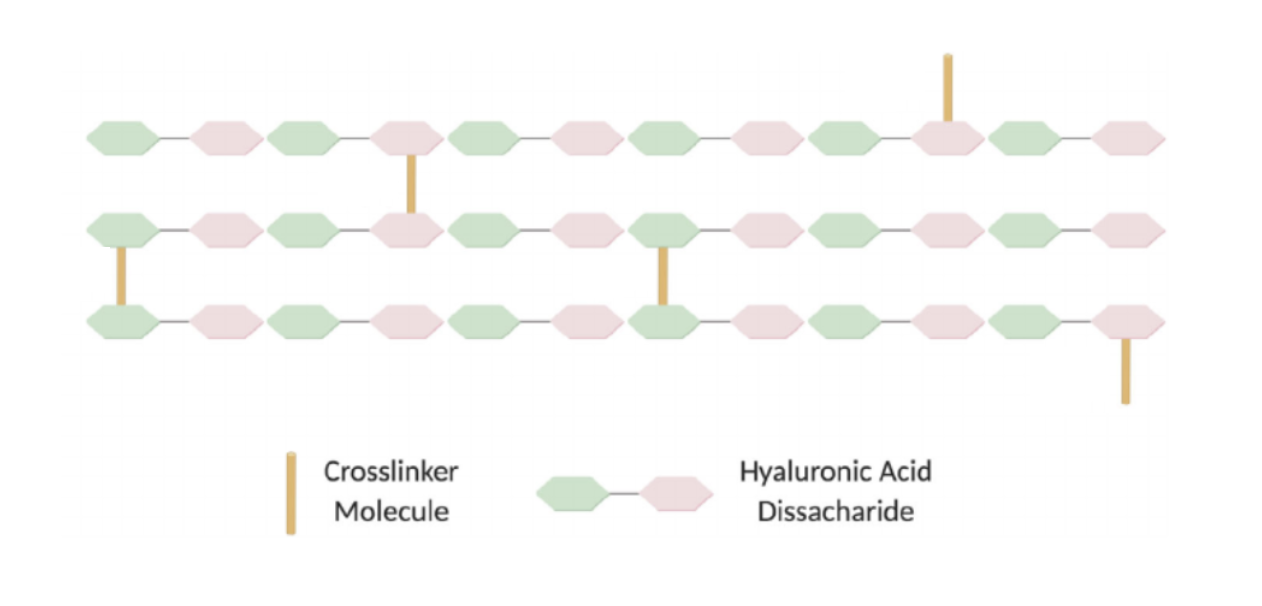 Illustration de la réticulation de l'acide hyaluronique à l'aide d'un agent réticulant.