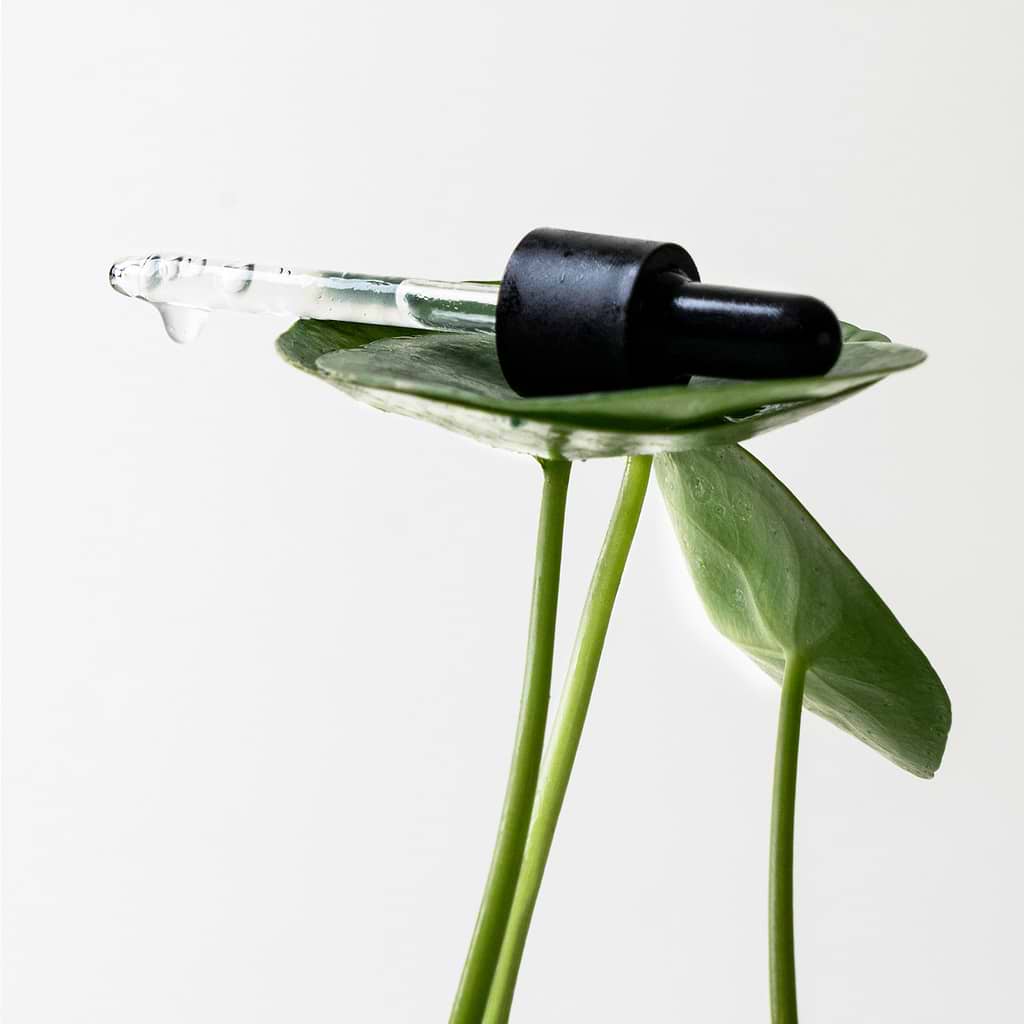 Sérum Anti-Marques PHA 14% + Centella asiatica — Typology