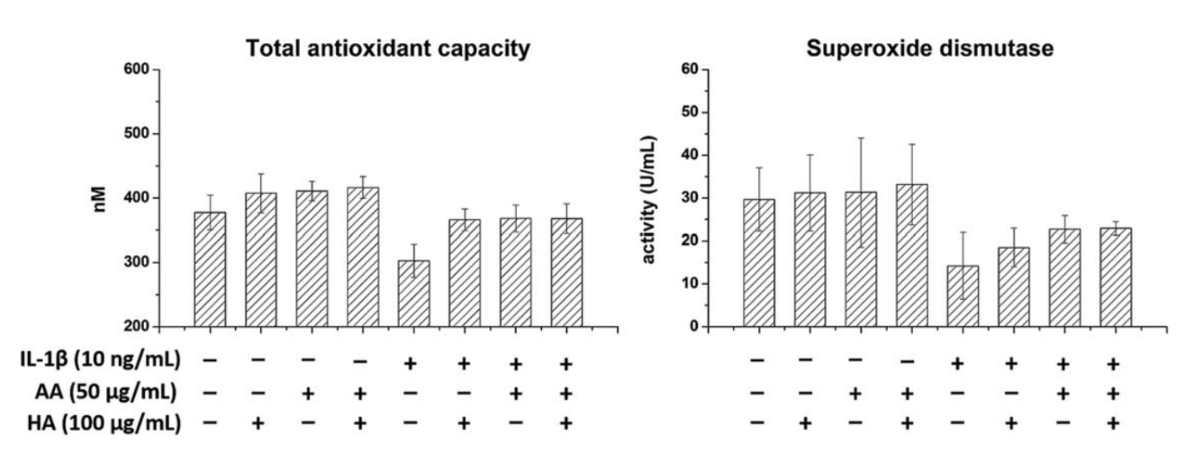 Effets antioxydants de l'association entre la vitamine C et l'acide hyaluronique.