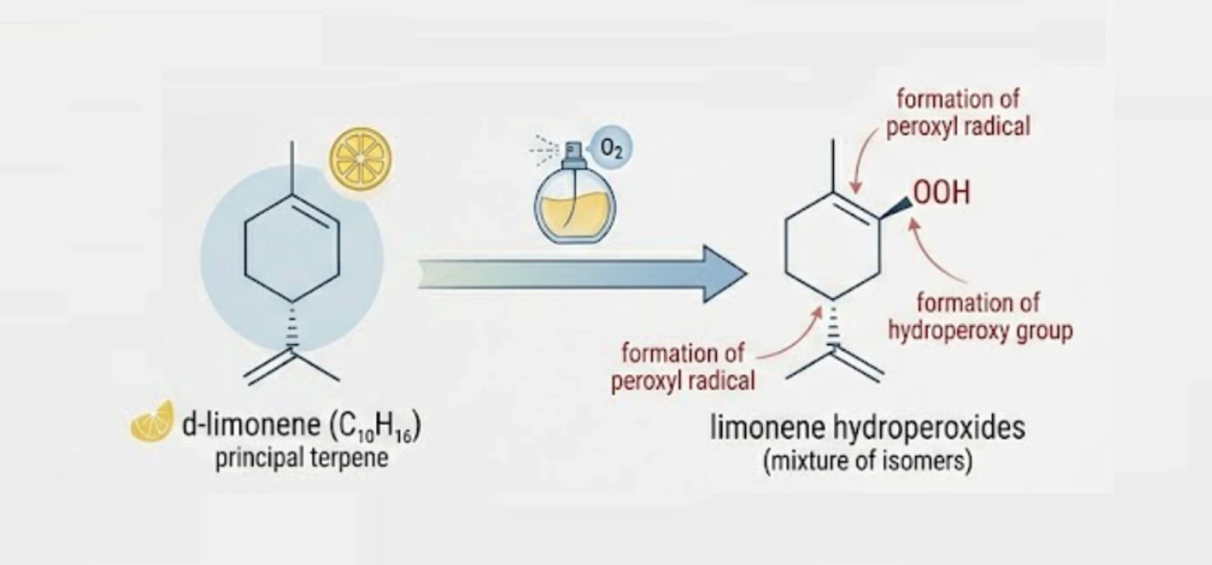 Réaction d'oxydation du limonène, une molécule présente dans de nombreux parfums et conférant une odeur citronnée.