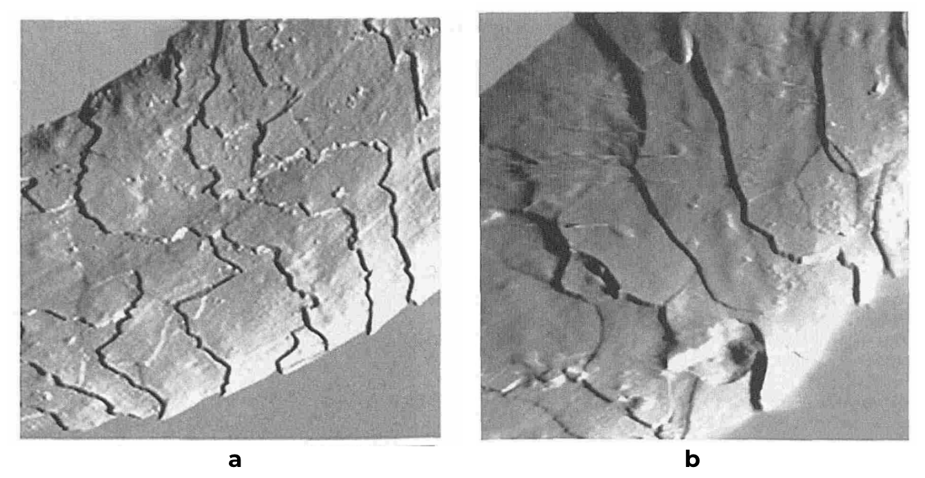 Image par microscopie à force atomique d'un cheveu dans l'air (a) et dans l'eau (b).