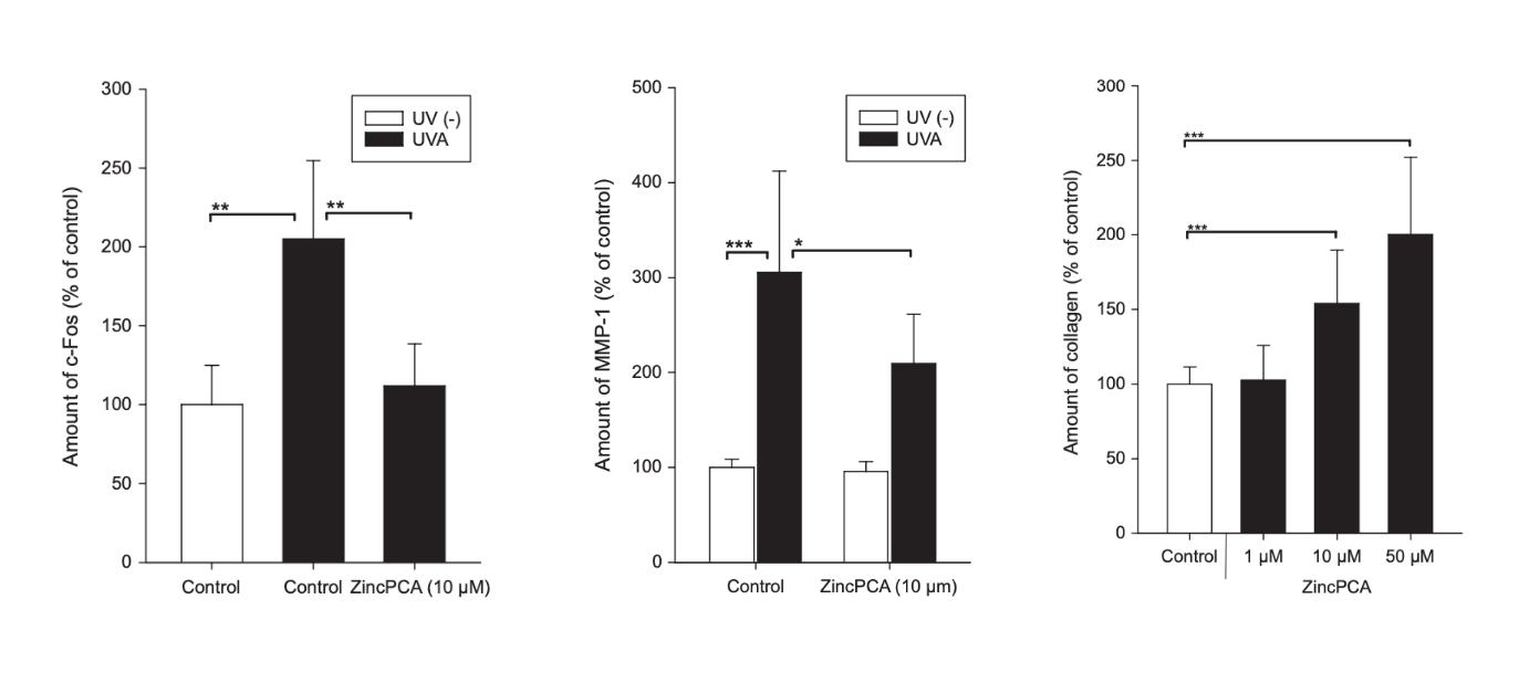 Illustration des effets photoprotecteurs du zinc PCA.