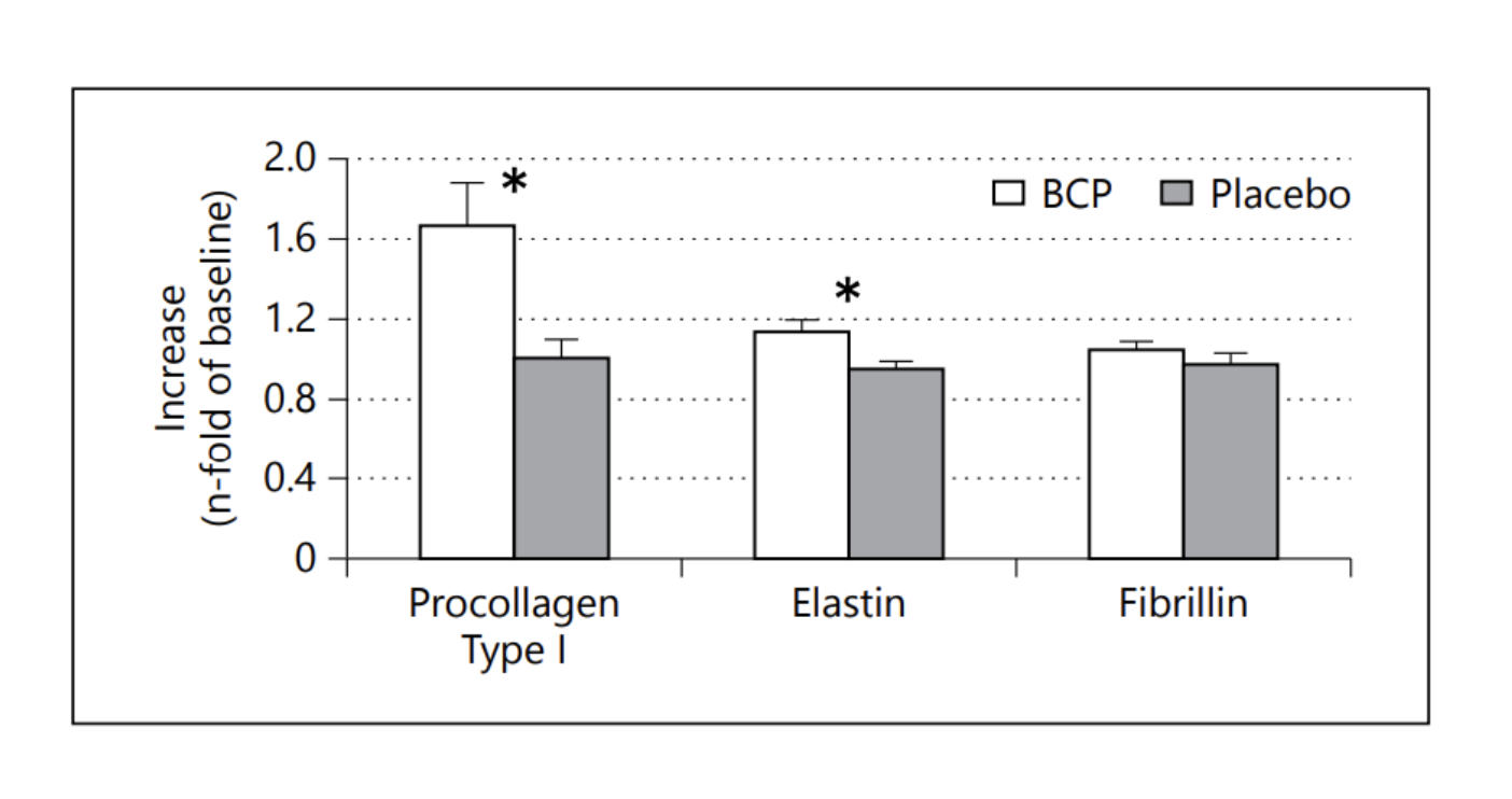 Évolution de la quantité de procollagène de type I, d'élastine et de fibrilline après 8 semaines d'administration de collagène ou d'un placebo.