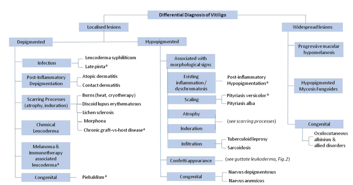 Approche clinique du diagnostic différentiel du vitiligo.