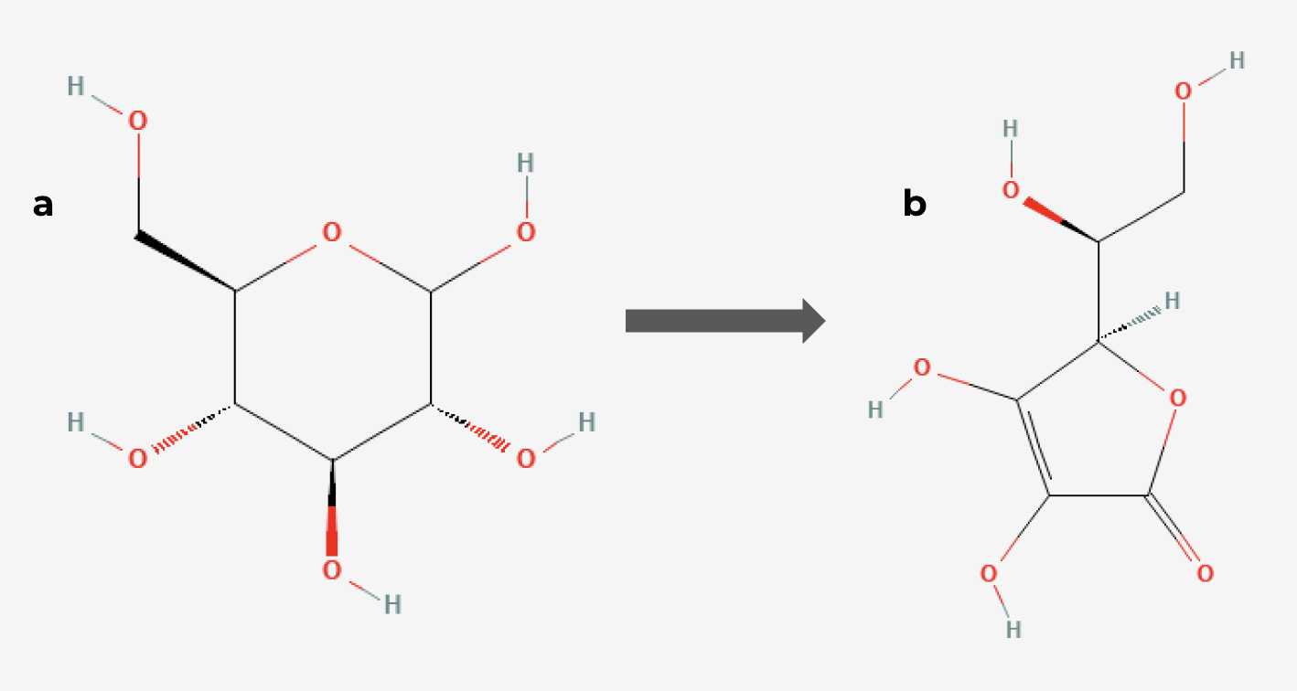 Structures chimiques du glucose (a) et de l'acide L-ascorbique (b).