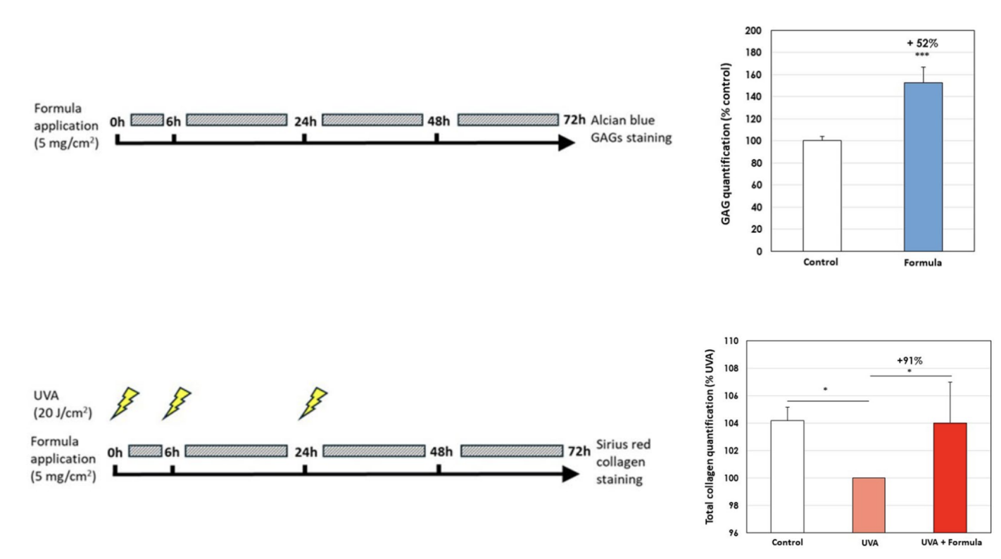 Effets de l'association acide hyaluronique / niacinamide sur la production de glycosaminoglycanes et la quantification du collagène dans des cellules exposées aux UVA, avec ou sans application de la formule enrichie en acide hyaluronique et niacinamide.