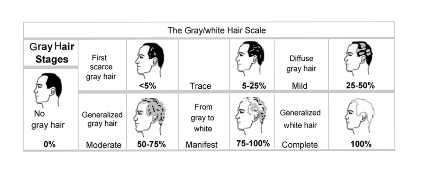 Échelle de cheveux gris/blancs permettant de déterminer le pourcentage de blanchiment des cheveux.
