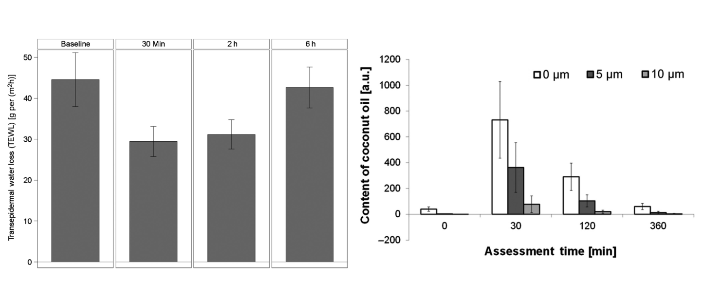 Effets de l'utilisation d'un baume à lèvres contenant de l'huile de coco sur la perte en eau et teneur en lipides issus de l'huile de coco dans la couche cornée au fil du temps.