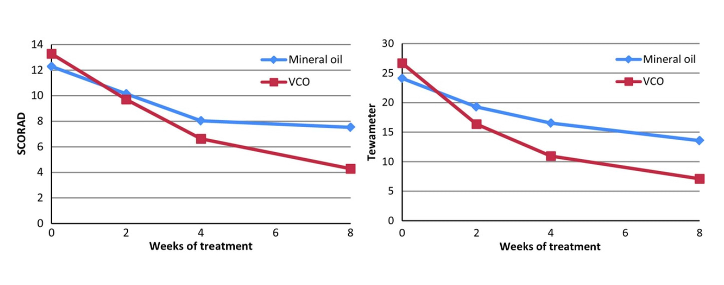 Évolution du SCORAD et des pertes en eau dans les groupes "huile de coco" et "huile minérale".