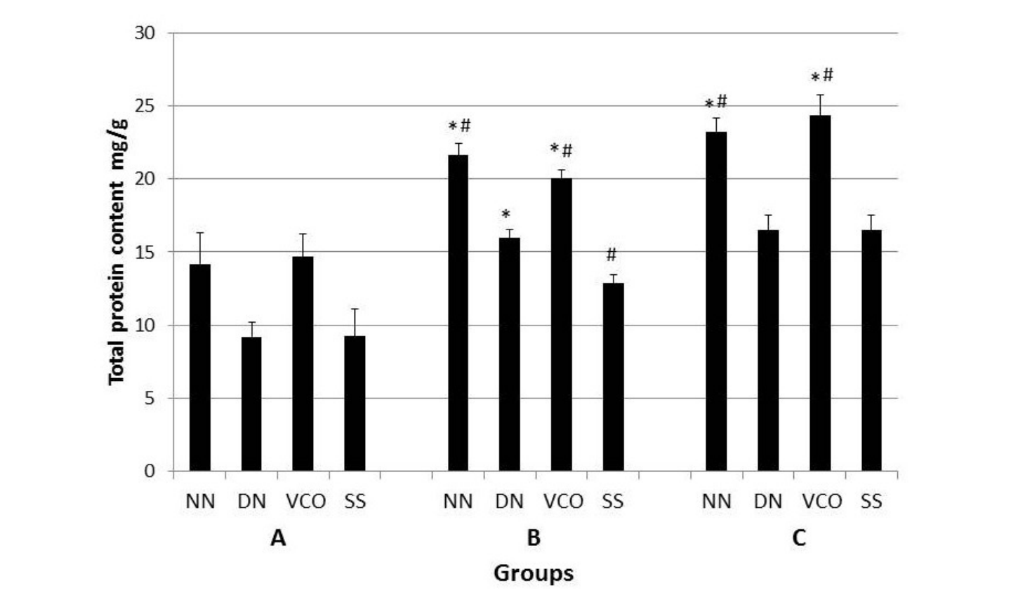 Teneur totale en protéines dans le tissu de la plaie de tous les groupes aux jours 1 (A), 7 (B) et 14 (C). NN : groupe non traité non diabétique ; DN : groupe diabétique non traité ; VCO : groupe diabétique traité à l’huile de coco ; SS : groupe diabétique traité à la crème sulfadiazine argent.