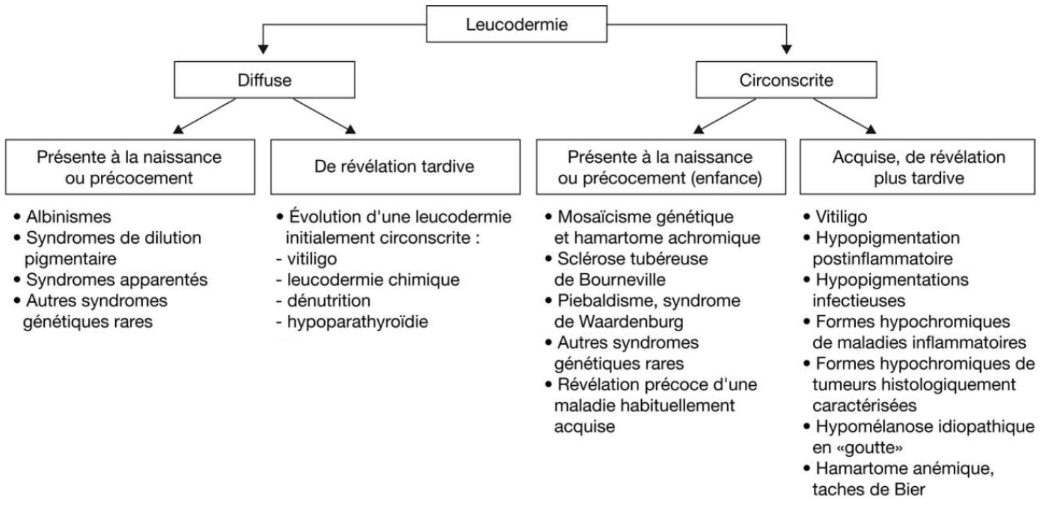 Démarche diagnostique devant une leucodermie selon le caractère diffus ou localisé de la lésion et l’âge d’apparition.