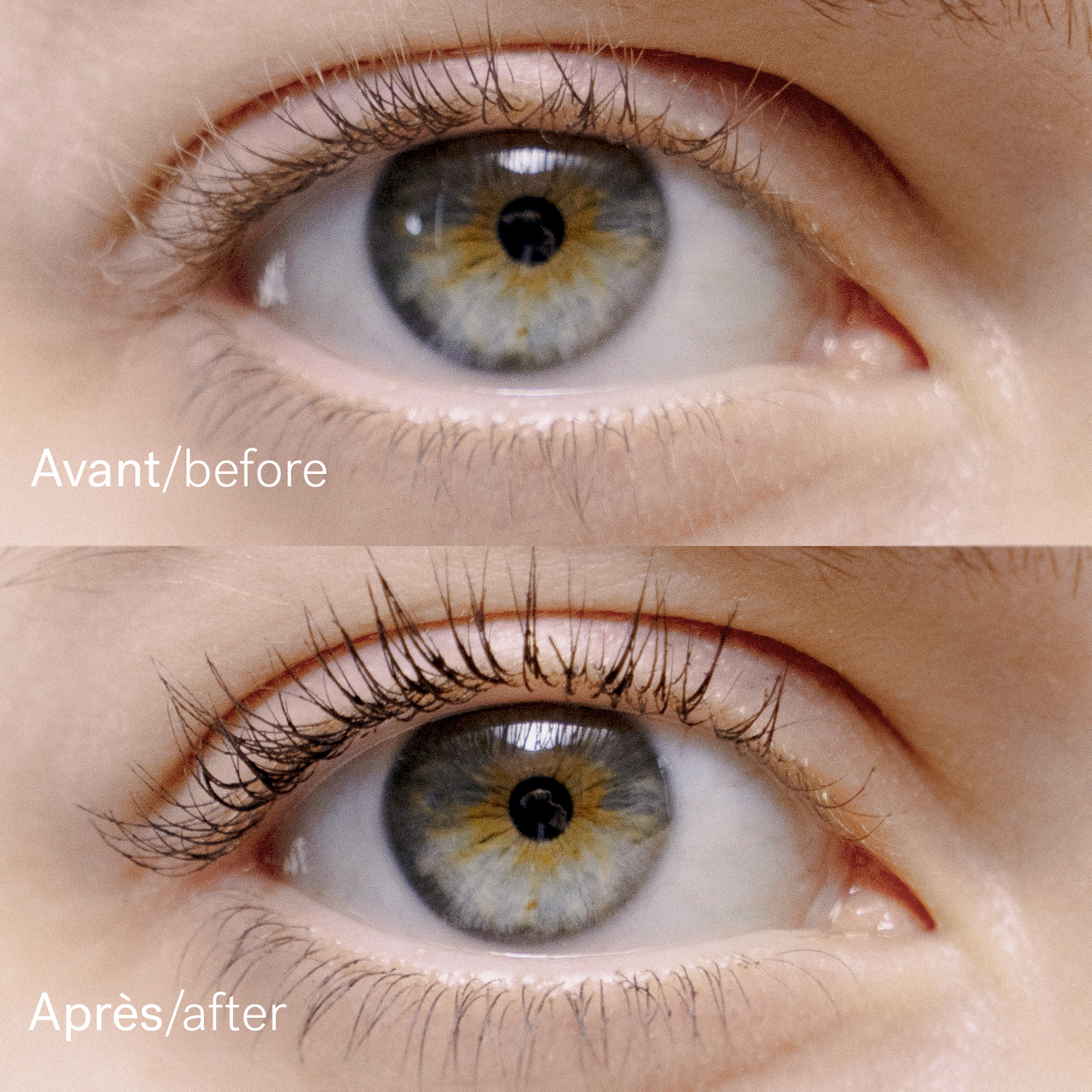 Sérum Mascara Peptides de pois 1% + Huile de ricin — Typology