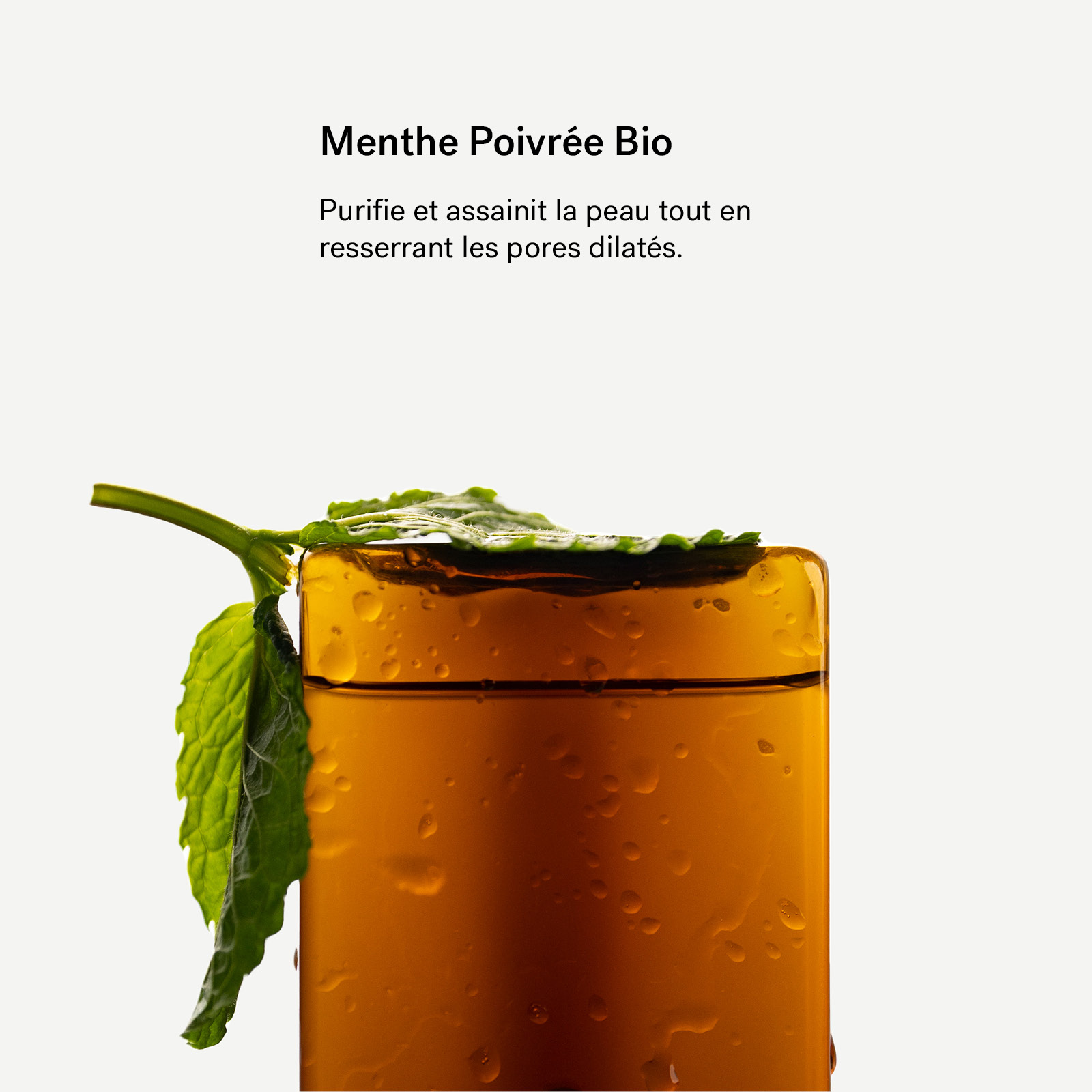 Hydrolat de Menthe Poivrée Bio — Typology